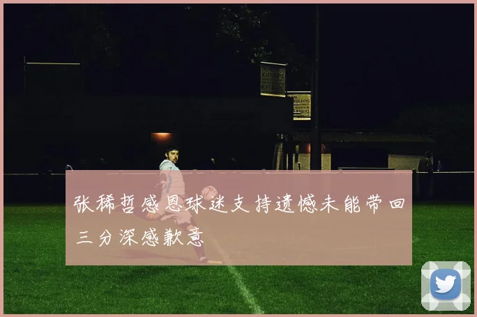 张稀哲感恩球迷支持遗憾未能带回三分深感歉意
