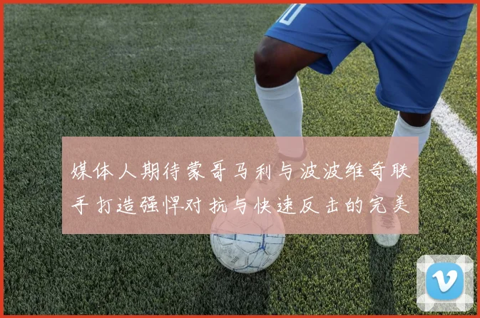 媒体人期待蒙哥马利与波波维奇联手打造强悍对抗与快速反击的完美结合